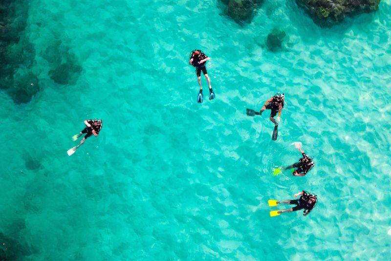 Why PADI? (Comparing Dive Certification Agencies, and Why It Barely Matters Which One)
